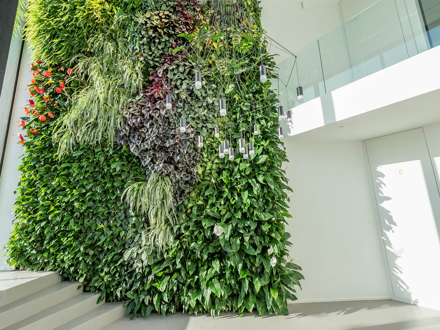 Plant Design comme entrepreneur en murs végétaux