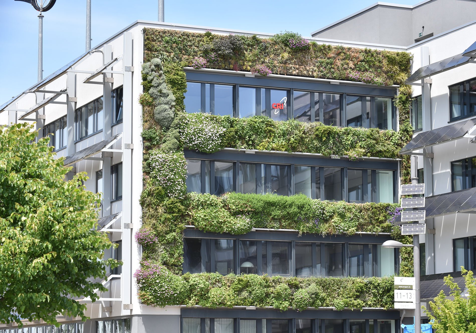 verticale tuin te Luxemburg voor Solarwind